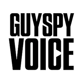 GuySpyVoice